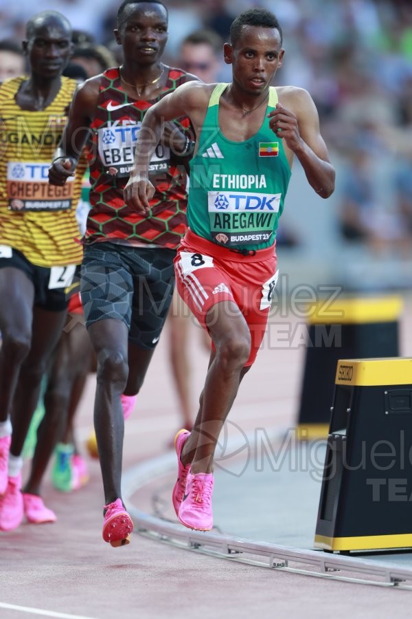 ATLETISMO: Campeonato del Mundo absoluto al aire libre, estadio National Athletics Centre (Budapest) 19-08-2023 al 27-08-2023. 