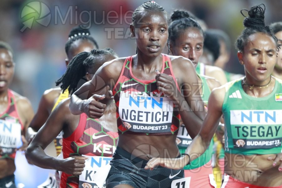 ATLETISMO: Campeonato del Mundo absoluto al aire libre, estadio National Athletics Centre (Budapest) 19-08-2023 al 27-08-2023. 