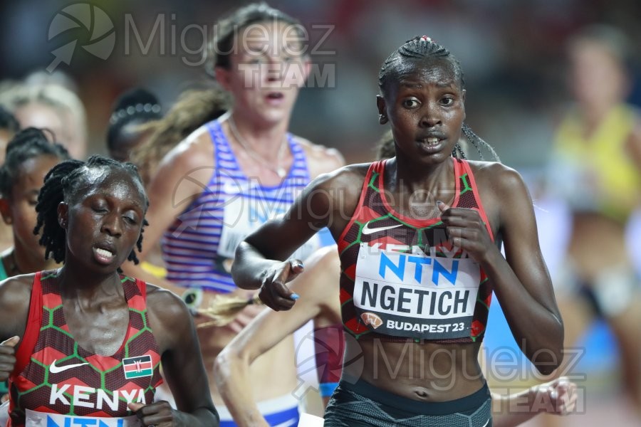 ATLETISMO: Campeonato del Mundo absoluto al aire libre, estadio National Athletics Centre (Budapest) 19-08-2023 al 27-08-2023. 