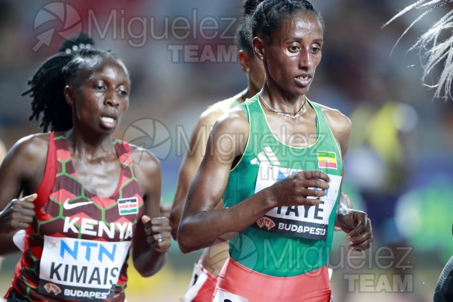 ATLETISMO: Campeonato del Mundo absoluto al aire libre, estadio National Athletics Centre (Budapest) 19-08-2023 al 27-08-2023. 