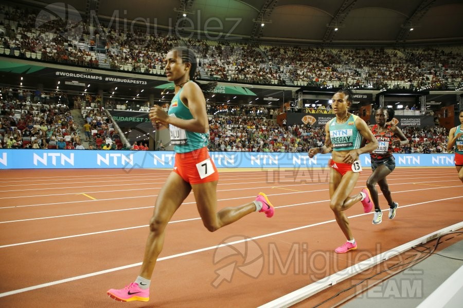 ATLETISMO: Campeonato del Mundo absoluto al aire libre, estadio National Athletics Centre (Budapest) 19-08-2023 al 27-08-2023. 