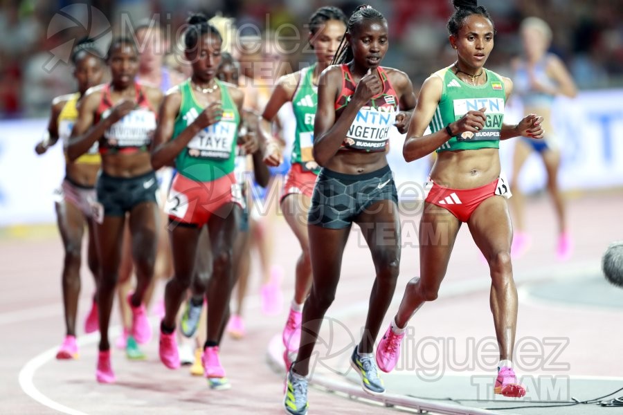 ATLETISMO: Campeonato del Mundo absoluto al aire libre, estadio National Athletics Centre (Budapest) 19-08-2023 al 27-08-2023. 