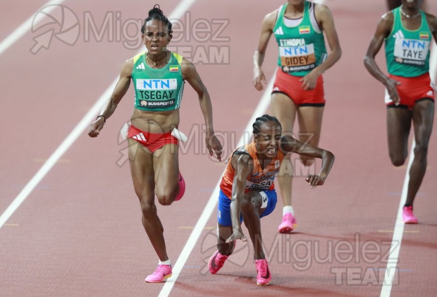 ATLETISMO: Campeonato del Mundo absoluto al aire libre, estadio National Athletics Centre (Budapest) 19-08-2023 al 27-08-2023. 