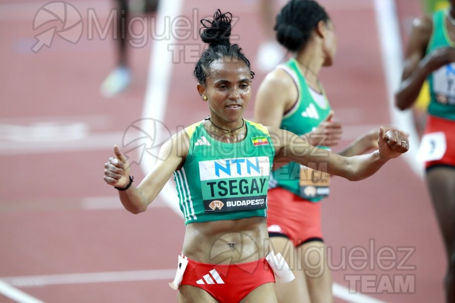 ATLETISMO: Campeonato del Mundo absoluto al aire libre, estadio National Athletics Centre (Budapest) 19-08-2023 al 27-08-2023. 