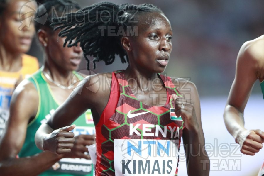 ATLETISMO: Campeonato del Mundo absoluto al aire libre, estadio National Athletics Centre (Budapest) 19-08-2023 al 27-08-2023. 