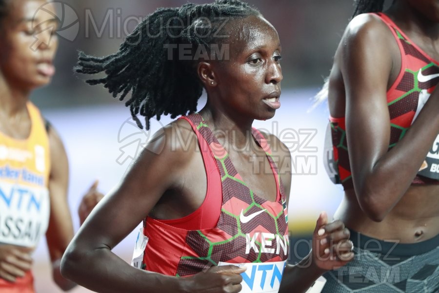 ATLETISMO: Campeonato del Mundo absoluto al aire libre, estadio National Athletics Centre (Budapest) 19-08-2023 al 27-08-2023. 