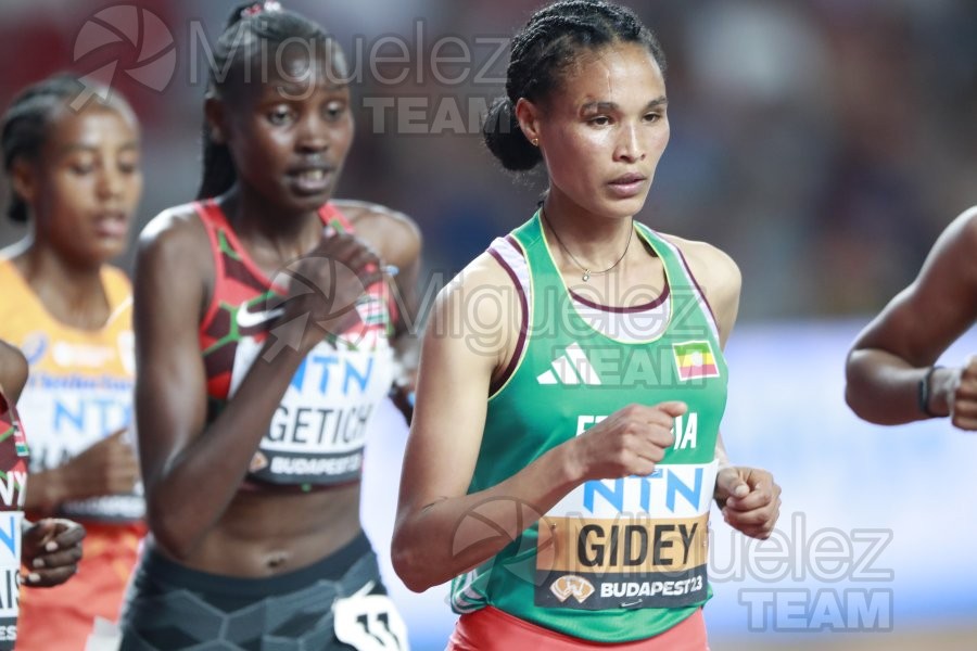 ATLETISMO: Campeonato del Mundo absoluto al aire libre, estadio National Athletics Centre (Budapest) 19-08-2023 al 27-08-2023. 