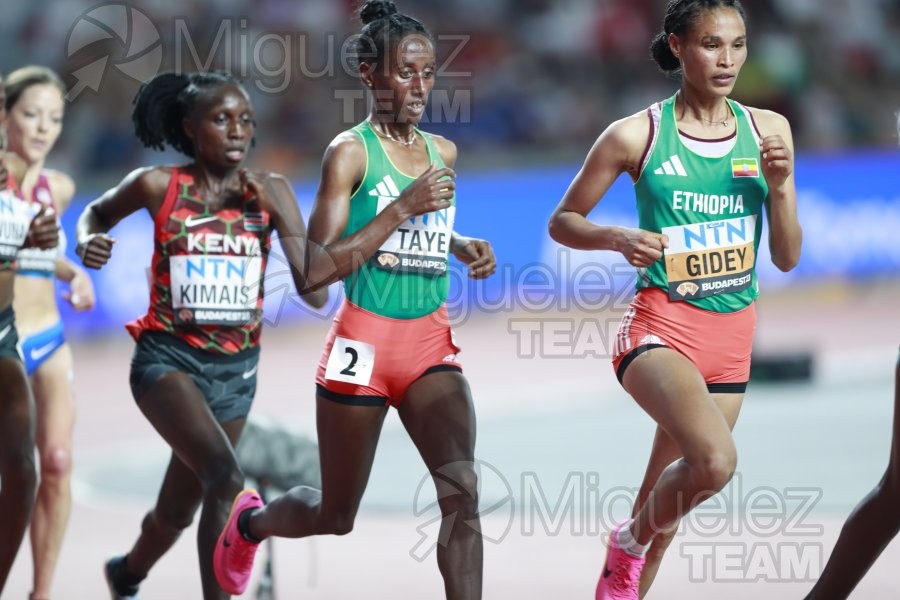 ATLETISMO: Campeonato del Mundo absoluto al aire libre, estadio National Athletics Centre (Budapest) 19-08-2023 al 27-08-2023. 