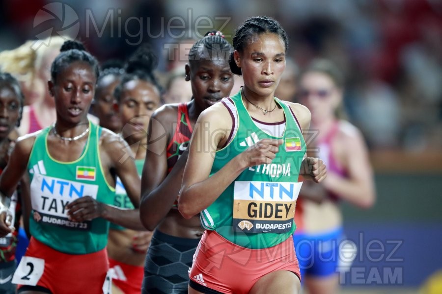 ATLETISMO: Campeonato del Mundo absoluto al aire libre, estadio National Athletics Centre (Budapest) 19-08-2023 al 27-08-2023. 