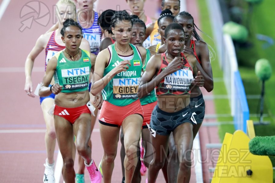 ATLETISMO: Campeonato del Mundo absoluto al aire libre, estadio National Athletics Centre (Budapest) 19-08-2023 al 27-08-2023. 