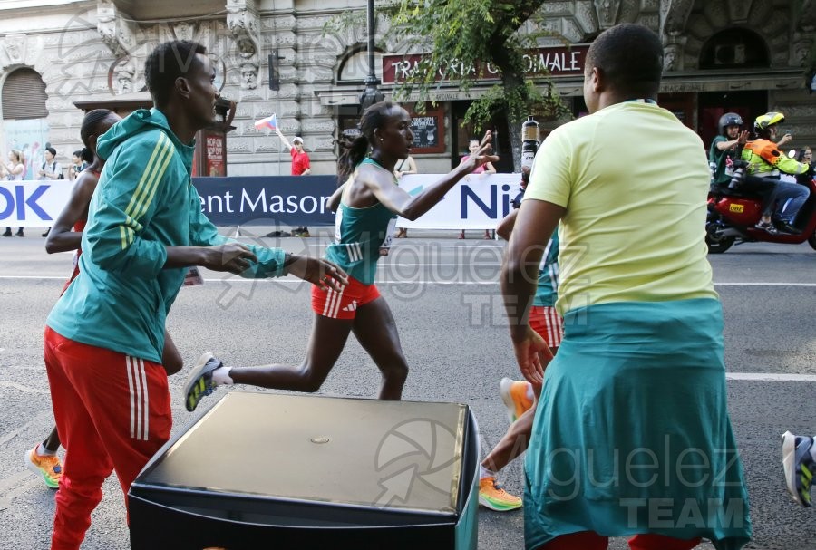 Campeonato del Mundo de atletismo al aire libre (Budapest) 2023.