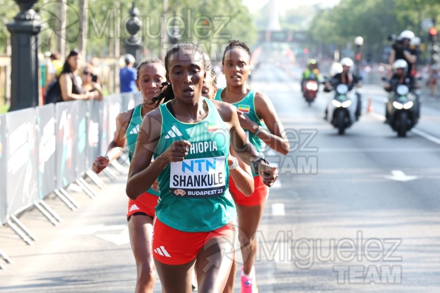 Campeonato del Mundo de atletismo al aire libre (Budapest) 2023.