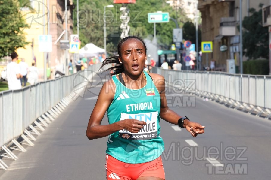 Campeonato del Mundo de atletismo al aire libre (Budapest) 2023.