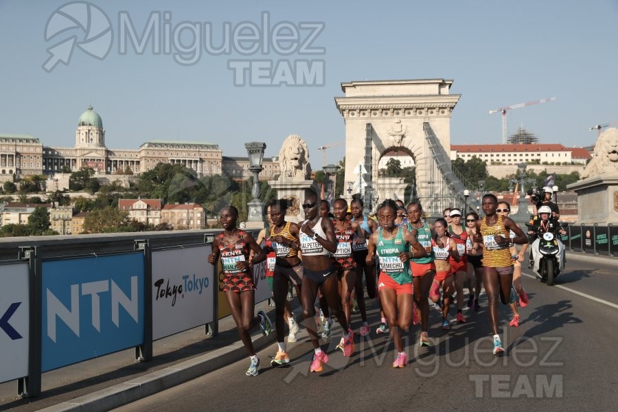 Campeonato del Mundo de atletismo al aire libre (Budapest) 2023.