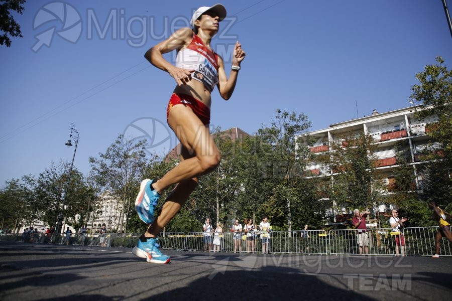 Campeonato del Mundo de atletismo al aire libre (Budapest) 2023.