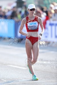 ATLETISMO: Campeonato del Mundo absoluto al aire libre, estadio National Athletics Centre (Budapest) 19-08-2023 al 27-08-2023. 