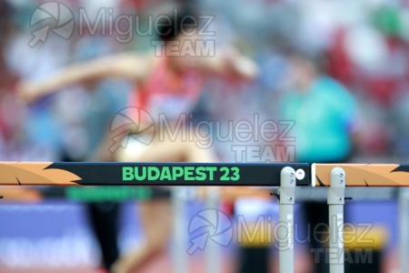 ATLETISMO: Campeonato del Mundo absoluto al aire libre, estadio National Athletics Centre (Budapest) 19-08-2023 al 27-08-2023. 