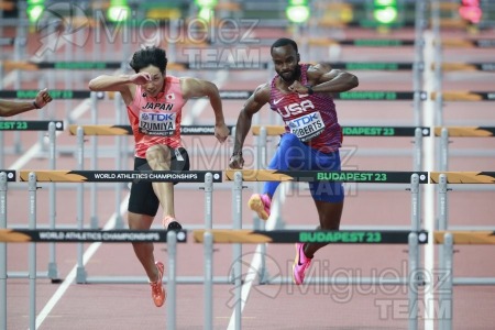 ATLETISMO: Campeonato del Mundo absoluto al aire libre, estadio National Athletics Centre (Budapest) 19-08-2023 al 27-08-2023. 