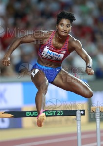 ATLETISMO: Campeonato del Mundo absoluto al aire libre, estadio National Athletics Centre (Budapest) 19-08-2023 al 27-08-2023. 