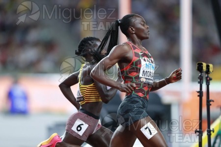 ATLETISMO: Campeonato del Mundo absoluto al aire libre, estadio National Athletics Centre (Budapest) 19-08-2023 al 27-08-2023. 