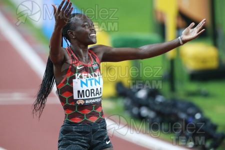 ATLETISMO: Campeonato del Mundo absoluto al aire libre, estadio National Athletics Centre (Budapest) 19-08-2023 al 27-08-2023. 