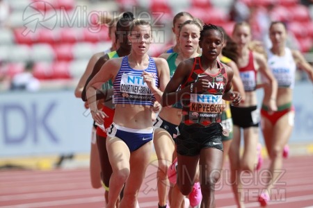 ATLETISMO: Campeonato del Mundo absoluto al aire libre, estadio National Athletics Centre (Budapest) 19-08-2023 al 27-08-2023. 