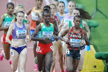 ATLETISMO: Campeonato del Mundo absoluto al aire libre, estadio National Athletics Centre (Budapest) 19-08-2023 al 27-08-2023. 