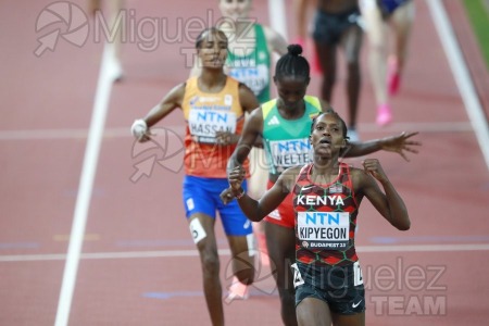 ATLETISMO: Campeonato del Mundo absoluto al aire libre, estadio National Athletics Centre (Budapest) 19-08-2023 al 27-08-2023. 