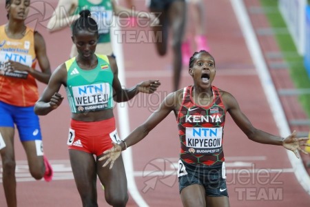 ATLETISMO: Campeonato del Mundo absoluto al aire libre, estadio National Athletics Centre (Budapest) 19-08-2023 al 27-08-2023. 