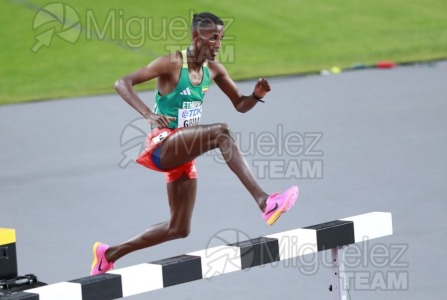 ATLETISMO: Campeonato del Mundo absoluto al aire libre, estadio National Athletics Centre (Budapest) 19-08-2023 al 27-08-2023. 