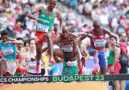 ATLETISMO: Campeonato del Mundo absoluto al aire libre, estadio National Athletics Centre (Budapest) 19-08-2023 al 27-08-2023. 