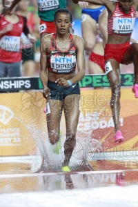 ATLETISMO: Campeonato del Mundo absoluto al aire libre, estadio National Athletics Centre (Budapest) 19-08-2023 al 27-08-2023. 