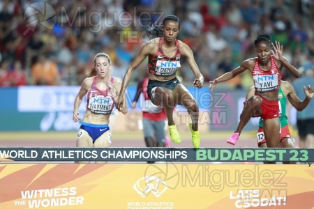 ATLETISMO: Campeonato del Mundo absoluto al aire libre, estadio National Athletics Centre (Budapest) 19-08-2023 al 27-08-2023. 