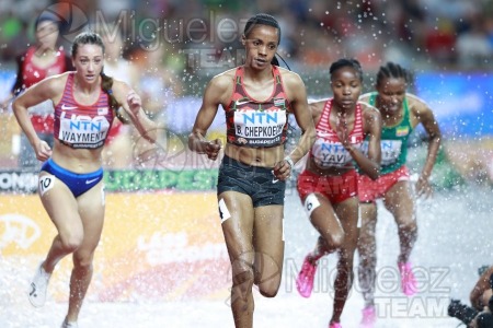 ATLETISMO: Campeonato del Mundo absoluto al aire libre, estadio National Athletics Centre (Budapest) 19-08-2023 al 27-08-2023. 