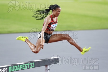 ATLETISMO: Campeonato del Mundo absoluto al aire libre, estadio National Athletics Centre (Budapest) 19-08-2023 al 27-08-2023. 