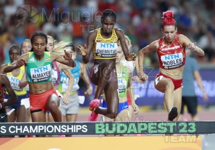 ATLETISMO: Campeonato del Mundo absoluto al aire libre, estadio National Athletics Centre (Budapest) 19-08-2023 al 27-08-2023. 