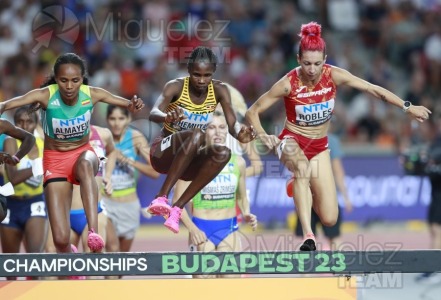 ATLETISMO: Campeonato del Mundo absoluto al aire libre, estadio National Athletics Centre (Budapest) 19-08-2023 al 27-08-2023. 