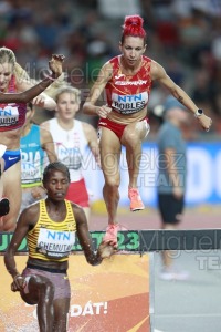 ATLETISMO: Campeonato del Mundo absoluto al aire libre, estadio National Athletics Centre (Budapest) 19-08-2023 al 27-08-2023. 