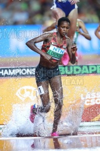 ATLETISMO: Campeonato del Mundo absoluto al aire libre, estadio National Athletics Centre (Budapest) 19-08-2023 al 27-08-2023. 