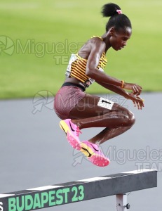 ATLETISMO: Campeonato del Mundo absoluto al aire libre, estadio National Athletics Centre (Budapest) 19-08-2023 al 27-08-2023. 