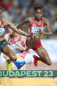 ATLETISMO: Campeonato del Mundo absoluto al aire libre, estadio National Athletics Centre (Budapest) 19-08-2023 al 27-08-2023. 