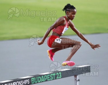 ATLETISMO: Campeonato del Mundo absoluto al aire libre, estadio National Athletics Centre (Budapest) 19-08-2023 al 27-08-2023. 