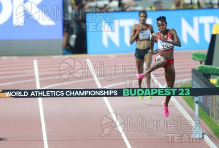 ATLETISMO: Campeonato del Mundo absoluto al aire libre, estadio National Athletics Centre (Budapest) 19-08-2023 al 27-08-2023. 