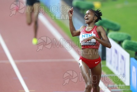 ATLETISMO: Campeonato del Mundo absoluto al aire libre, estadio National Athletics Centre (Budapest) 19-08-2023 al 27-08-2023. 