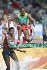 ATLETISMO: Campeonato del Mundo absoluto al aire libre, estadio National Athletics Centre (Budapest) 19-08-2023 al 27-08-2023. 