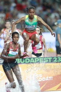 ATLETISMO: Campeonato del Mundo absoluto al aire libre, estadio National Athletics Centre (Budapest) 19-08-2023 al 27-08-2023. 