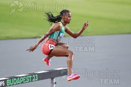 ATLETISMO: Campeonato del Mundo absoluto al aire libre, estadio National Athletics Centre (Budapest) 19-08-2023 al 27-08-2023. 