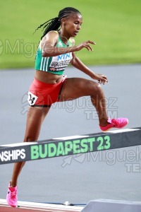 ATLETISMO: Campeonato del Mundo absoluto al aire libre, estadio National Athletics Centre (Budapest) 19-08-2023 al 27-08-2023. 