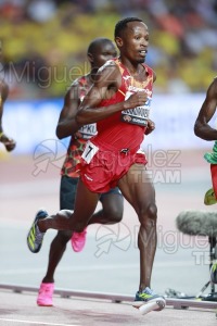 ATLETISMO: Campeonato del Mundo absoluto al aire libre, estadio National Athletics Centre (Budapest) 19-08-2023 al 27-08-2023. 