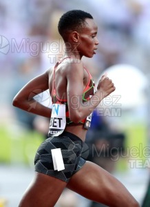 ATLETISMO: Campeonato del Mundo absoluto al aire libre, estadio National Athletics Centre (Budapest) 19-08-2023 al 27-08-2023. 